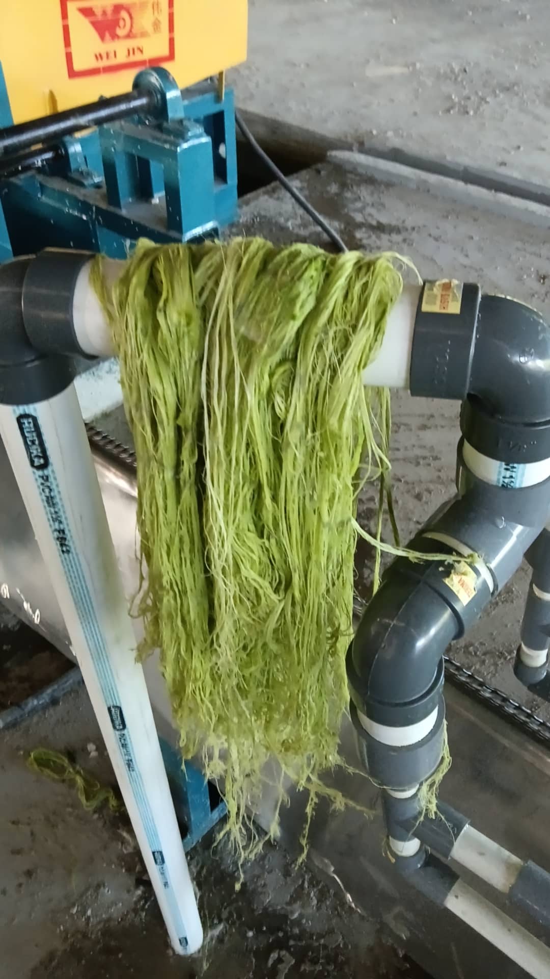 Fiber extraction site 4